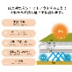 �쥤�䡼 �����ڥå� ��� �饰 ����ȥ饰 �ݲ� ��Ǯ ��Ǯ ���������ñ ����ץ� ���ߤ� 