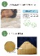 17�ե�� ������������ �������ߤ� �����ڥå� �饰 �դä��� �ܥ�塼��饰 �����ɽ� ���ߤ� ����ץ� ̵�� ������ ������ 