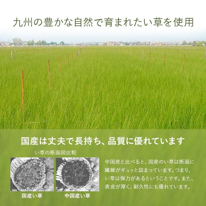  ������ �֤��� ��˥åȾ� �����ƥ�� ���� 82��82cm 9���� �� ������ ̵�� �¼� �ե�������б� ���� �ڤ� ����ץ� ���祤��� ���������ñ ����ˤ��� �ý� �����ɽ� 