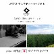 �ڴ��ָ���10%OFF�ۥե쥢�ޥåȥ쥹 ���� ����ޥå� ����ޥåȥ쥹 ���ޥåȥ쥹 �ե����ޥå� �� ������ �֤��� ���� ����ѥ��� ��Ǽ �������ߤ� ����ץ� ŷ���Ǻ� ���餵�� �ä��� ���餫�� ���������ñ �����ɽ� Ĵ�� �ý� �������� ����ˤ��� 