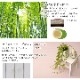 ����ӡ� �ݥ饰 �� �����ڥå� ��� �饰 �����˥󥰥饰 �Ҥ���饰 �����Ǻ� �����ɽ� ���������ñ �� ����ˤ��� 