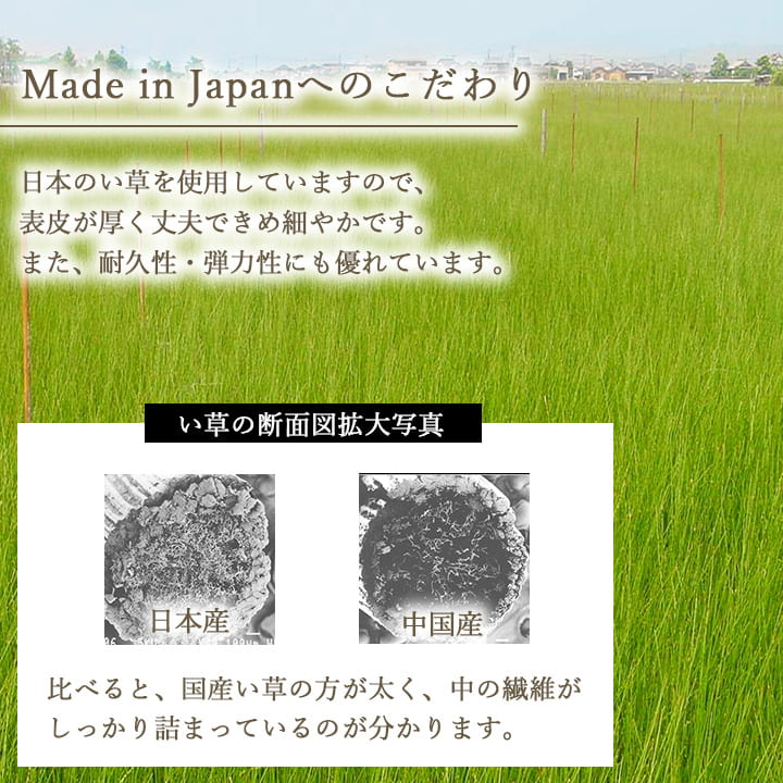 ��å��� �֤��� ��˥åȾ� �����ƥ�� ���� ñ�� �� ������ �¼� �ե�������б� ���� �ڤ� �ʥ����� ���������ñ ����ˤ��� ���ߤ� �ý� �����ɽ� 