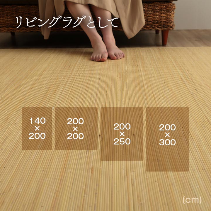 ����� �����ڥå� ��� �ۥ饰 ��� � �ष�� �����Ǻ� �¼� ��ӥ� �������� �饿�� �����륷������ �Ҥ��� Ĵ�� 