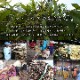 ����� �����ڥå� ��� �ۥ饰 ��� � �ष�� �����Ǻ� �¼� ��ӥ� �������� �饿�� �����륷������ �Ҥ��� Ĵ�� 