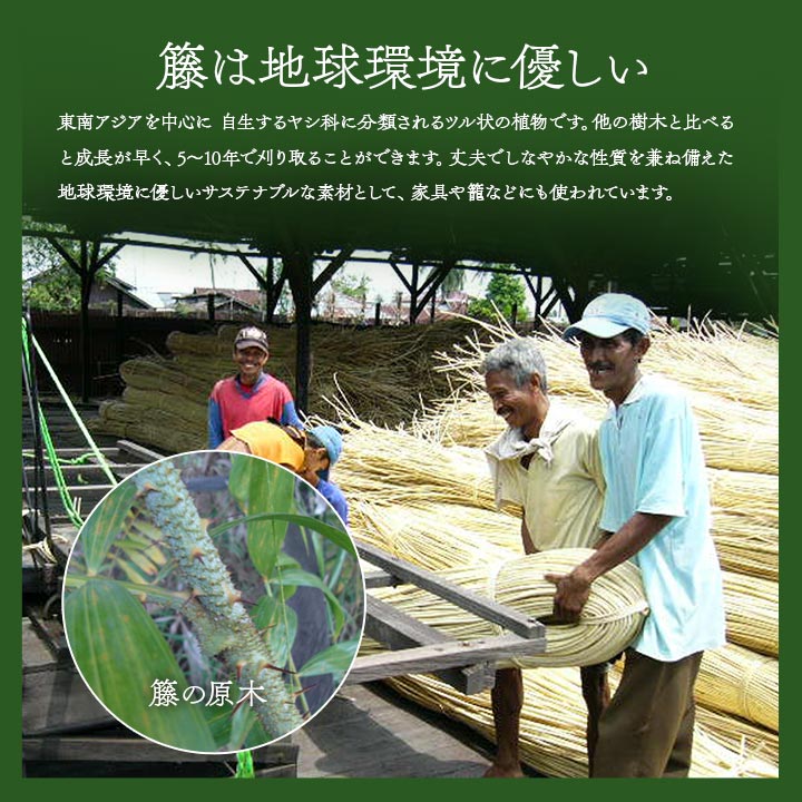 ����� �����ڥå� ��� �ۥޥå� ���å��� ����  ��� � �ष�� �����Ǻ� �¼� ��ӥ� �������� �饿�� �����륷������ �Ҥ��� Ĵ�� 