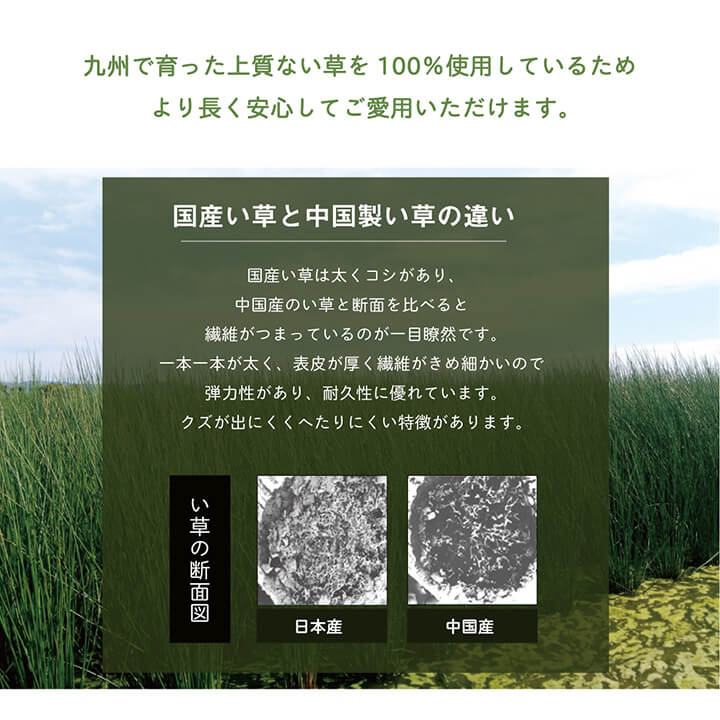 �ꥺ�य�ܤ�ʿ�� ���� ������ �ԥ��� �� ʿ�� �� ������ ����ץ� ���������ñ �� �����ɽ� Ĵ�� �ý� �������� ����ˤ��� 