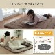���쥿 ���������� �դä��� �� ������ ����ץ� �ʻ���