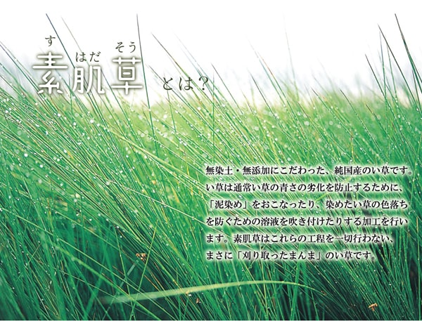 �ǥ˥���ȩ�� ���� ������ �ߤ��ѥå� �� ������ ̵���� ŷ���Ǻ� ����ץ� ���餵�� �ä��� ���餫�� ���󥰥� �٥ӡ� ���������ñ Ĵ�� �ý� �������� ����ˤ���