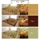 ���奭���٥� �����ڥå� ��� �饰 �����˥󥰥饰 ���� ®�� ���奫���ڥå� ʿ�������ڥå� ���ɻ� ���� 