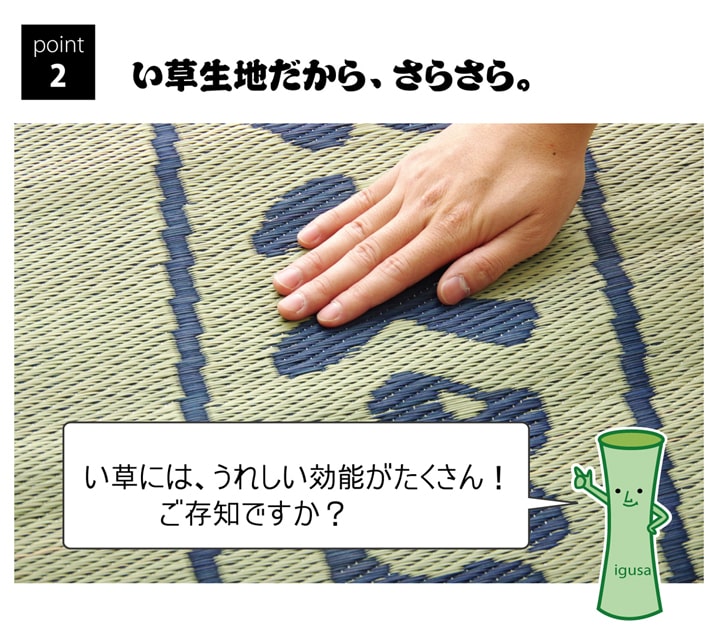   ޥå ޥåȥ쥹 ޥå   ץ쥼 ե £ʪ  ץ ŷǺ 餵 ä 餫 ñ ɽ Ĵ ý  ˤ 