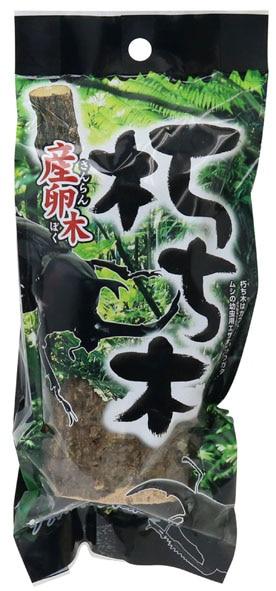 朽ち木(産卵木)