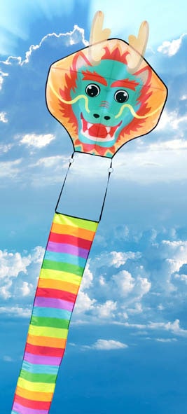 �쥤��ܡ��ɥ饴�󥫥���(10m)