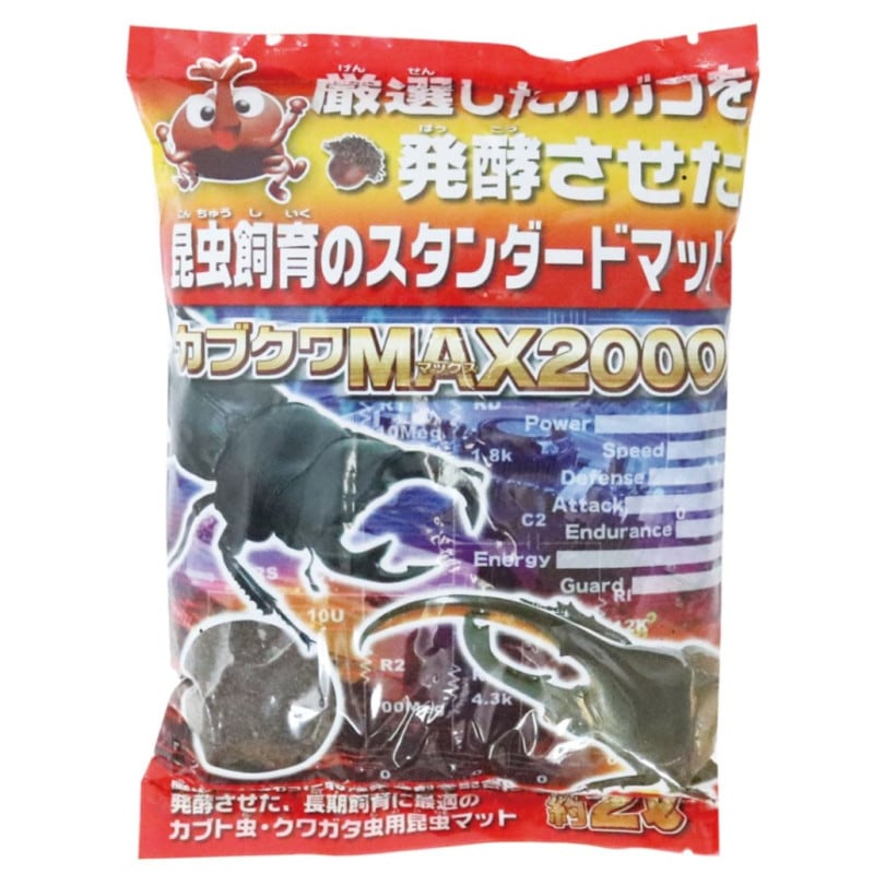 ���֥���MAX2000