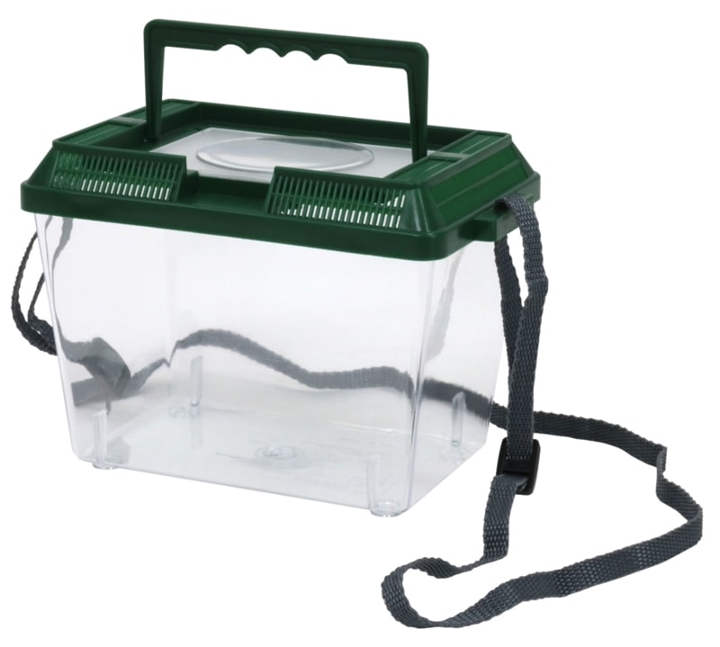 �ष�������ϥ顡R5