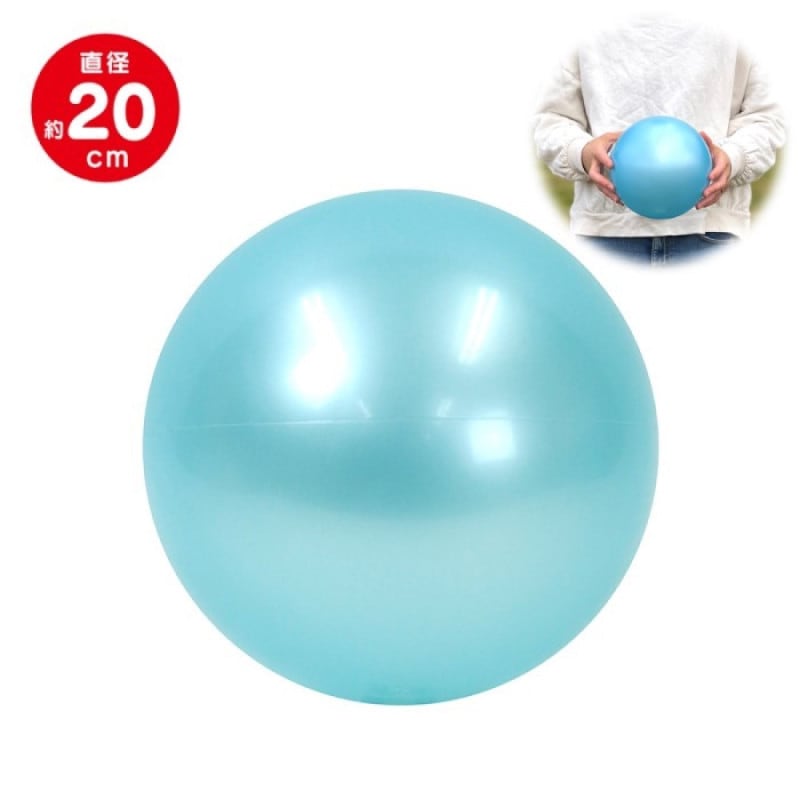 �ѥ��ƥ륫�顼�ܡ��� �ѥ��ƥ�֥롼