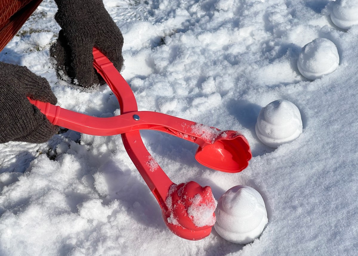 ̵�¤������¤��