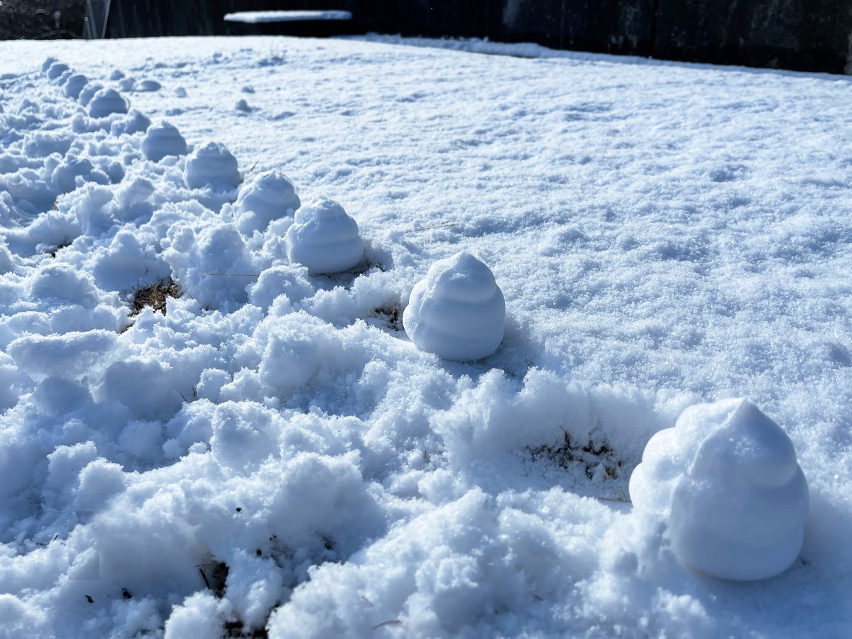 ̵�¤������¤��