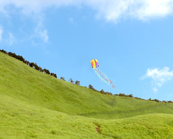 3D�������������������