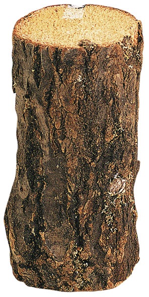 �����(������)