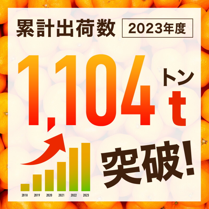 超 訳あり 有田 みかん 和歌山産 極早生 ～ 完熟 10kg 送料無料 農家