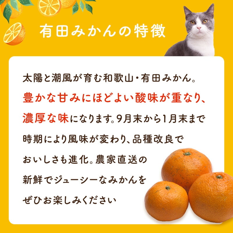 10キロ　有田みかん　農家直送！ 農家直送！有田みかん（10kg 訳あり≪サイズ混合≫）平武農園 ～蛍飛ぶ