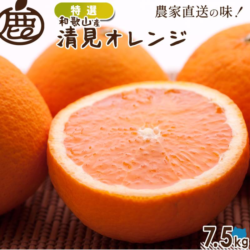 特選 清見オレンジ 7.5kg 【 送料無料 KS 清見 オレンジ 清見