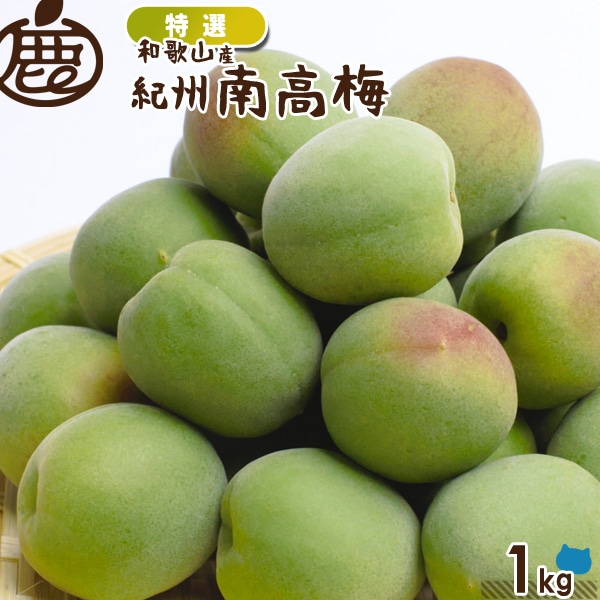 【期間限定！】和歌山県産 紀州南高梅 青梅 特選 紀州 南高梅 1kg 【 送料無料 KS 青梅 和歌山産 産直 黄梅