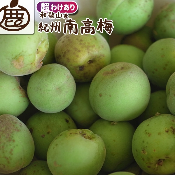 超訳あり 紀州 南高梅 2.5kg 【 送料無料 KS ロットA キズあり