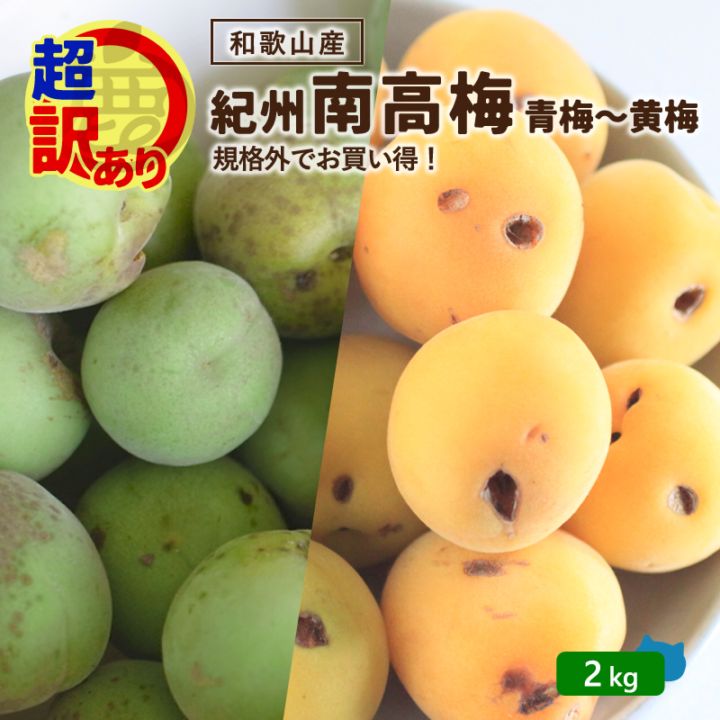 150 Nao✳︎Y様　青梅　訳あり　18kg 超訳あり 紀州南高梅 2kg 送料無料 和歌山県産 青梅～黄梅 生梅 産地