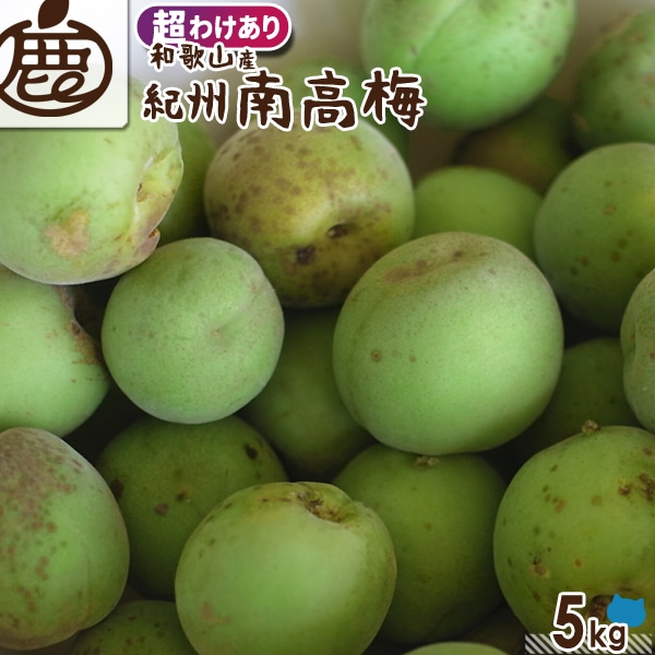 愛花夢【訳あり】青梅 10kg 大 紀州南高梅 完熟梅・青梅 訳あり生梅 紀州南高梅 10kg 熟度・量・粒サイズが