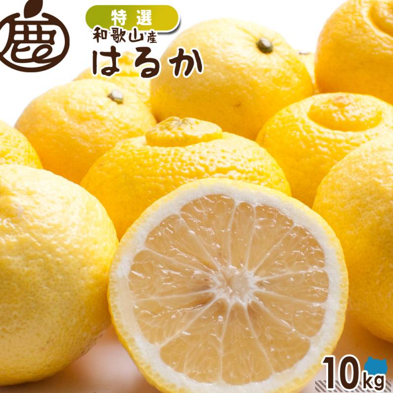 はるか様、専用 はるか約5kg-家庭用 | のま果樹園