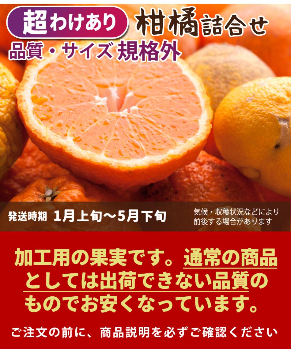文旦　訳あり　アウトレット品　柑橘　28 楽天市場】土佐文旦 訳あり 10kgの通販