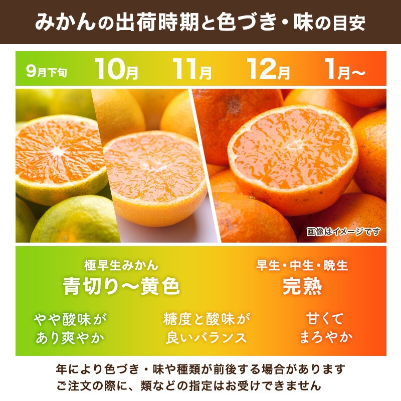 予約】発送予定 11月中旬以降～ 小玉 有田みかん 完熟 訳あり 5kg