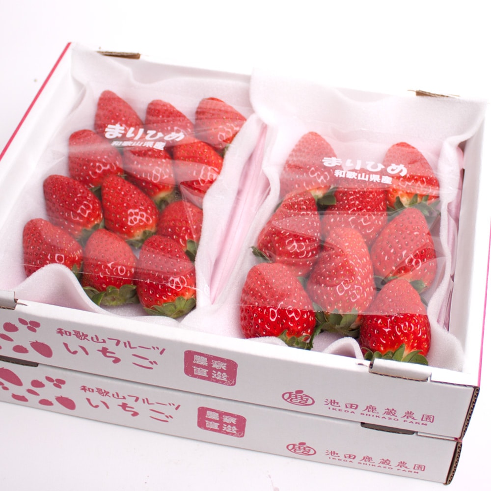 いちご まりひめ 和歌山 1.2kg 【 KS 送料無料 いちご 苺 イチゴ お