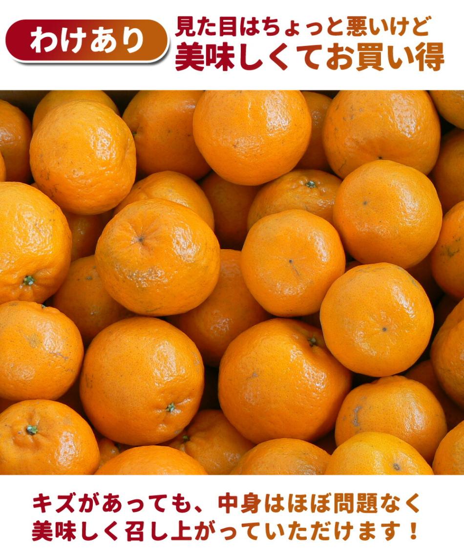 訳あり ポンカン 5kg 【 わけあり 送料無料 ぽんかん ポンカンオレンジ