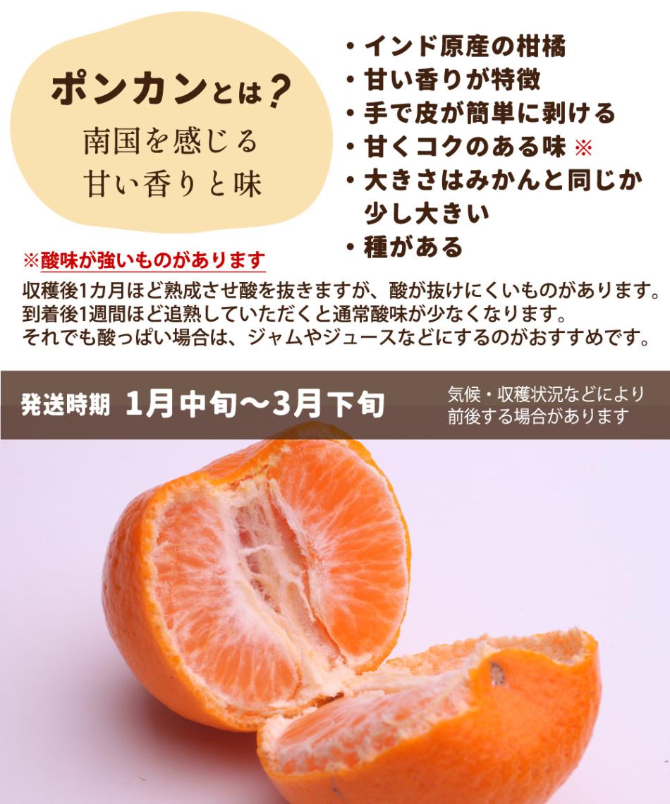 訳あり ポンカン 5kg 【 わけあり 送料無料 ぽんかん ポンカンオレンジ