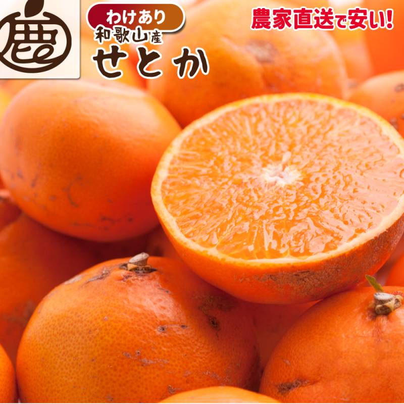 せとか | 池田鹿蔵農園