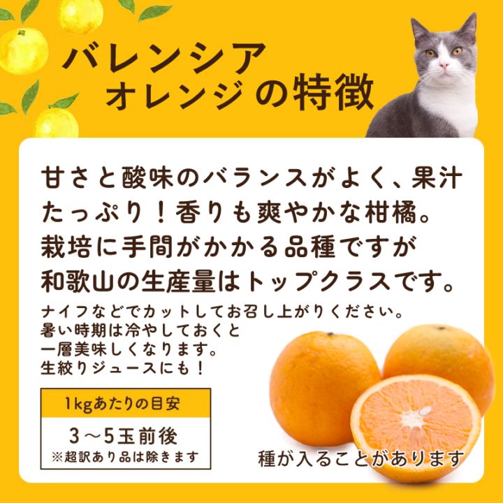 特選 バレンシアオレンジ 2.5kg 送料無料 和歌山県産 発送6月中旬頃