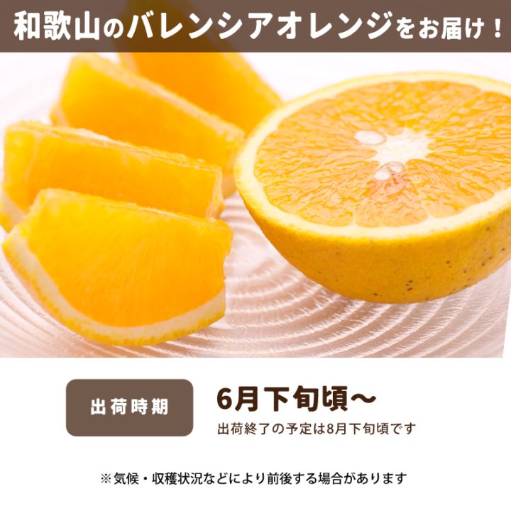 特選 バレンシアオレンジ 2.5kg 送料無料 和歌山県産 発送6月中旬頃