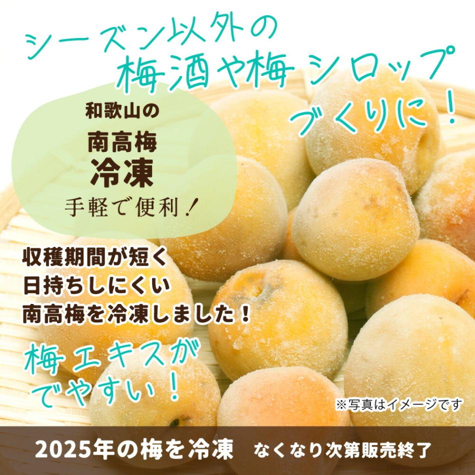 ミネラル南高梅(落ち梅)5kg 完熟南高梅 キズあり（自然落下）4Lサイズ 5kg｜梅干し用梅の