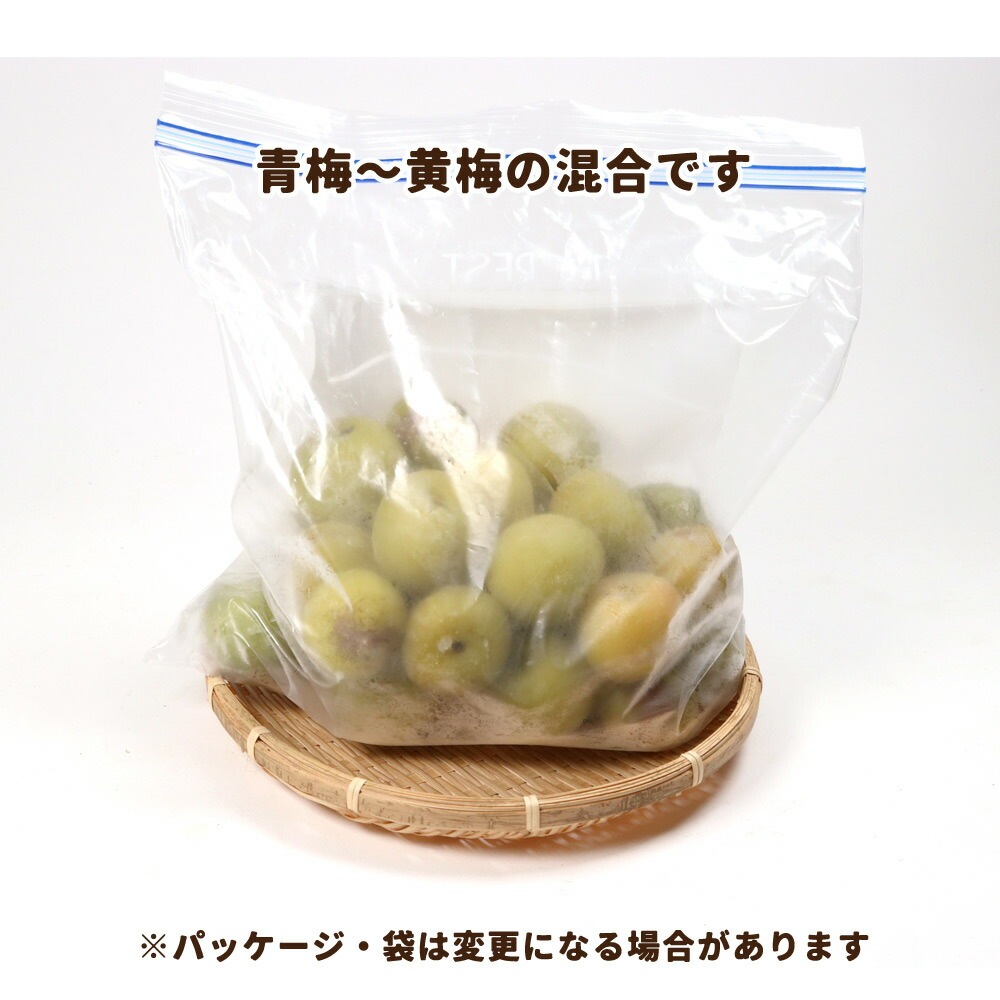 青梅　紀州南高梅　約5kg　和歌山県産　常温発送　朝採れ　梅酒　梅シロップ　新鮮 訳あり 紀州 南高梅 冷凍梅 5kg 【 送料無料 和歌山産 産直 冷凍