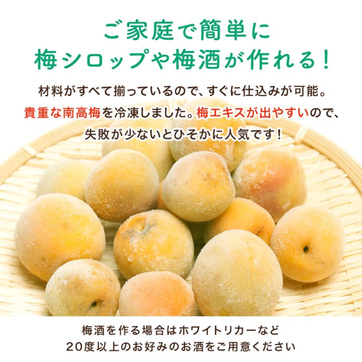 紀州南高梅 冷凍梅 1kg 梅しごと3点セット 送料無料 和歌山県産 訳あり