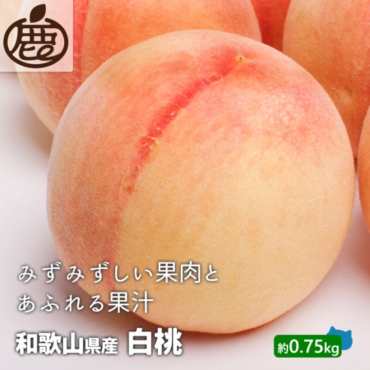 池田鹿蔵農園 | 有田みかん 通販 ジュース レモン 農家直送 和歌山