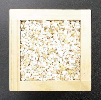 玄米麹1kg（九州産玄米使用）