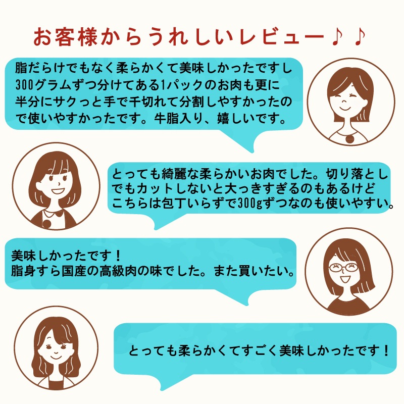 ご自宅用におすすめ!和牛こま切れ600g(300g×2セット)