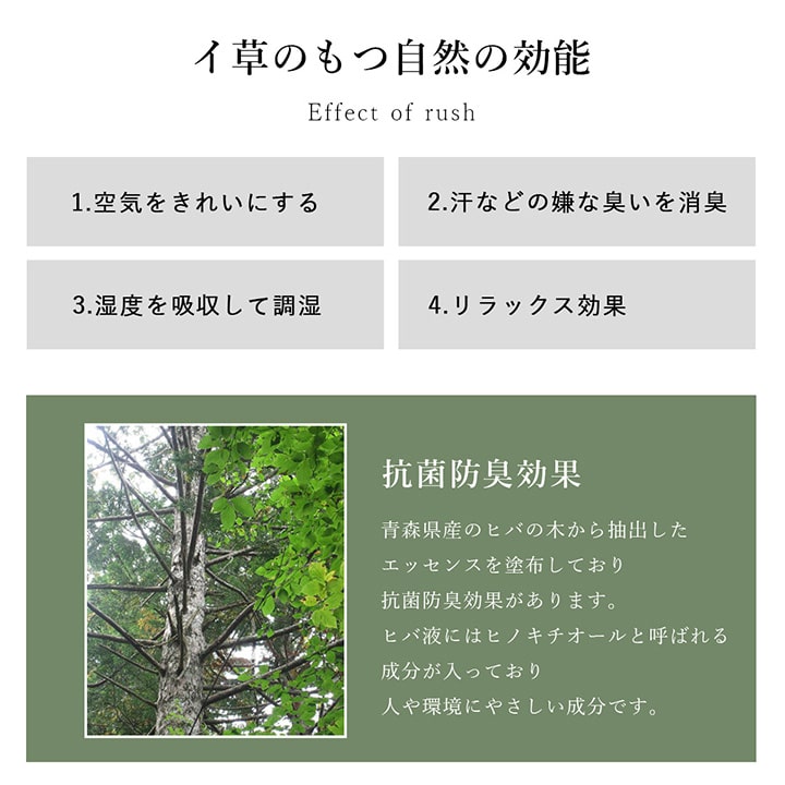 【20日間返品無料】国産 い草ラグ DXラルフ D.STYLE イケヒコ×カイハラデニム Ralph IKEHIKO