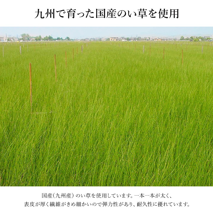 玄関マット 上がり框 Fなでしこ 国産い草 日本製