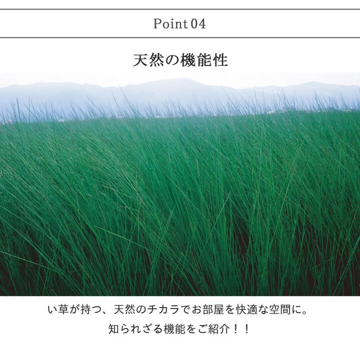 国産い草ラグ Fオーレン 滑り止め IKEHIKO 池彦 シンプル