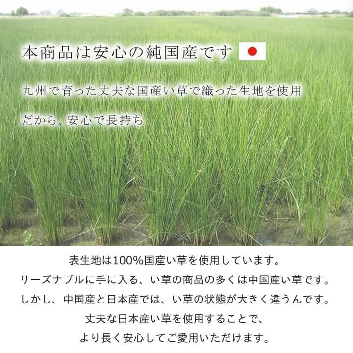 国産い草ラグ Fオーレン 滑り止め IKEHIKO 池彦 シンプル