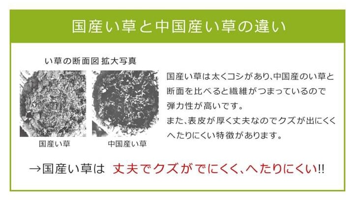 国産い草ラグ Fオーレン 滑り止め IKEHIKO 池彦 シンプル